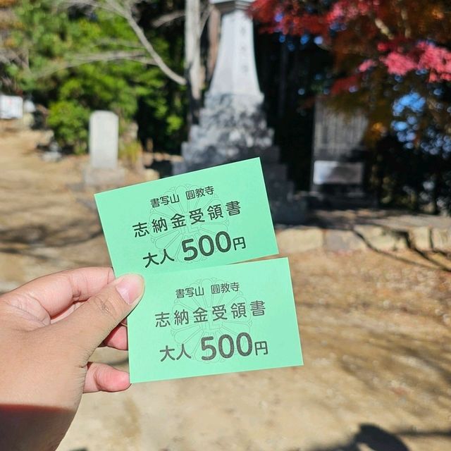 紅楓季書寫山漫步芬多精森林