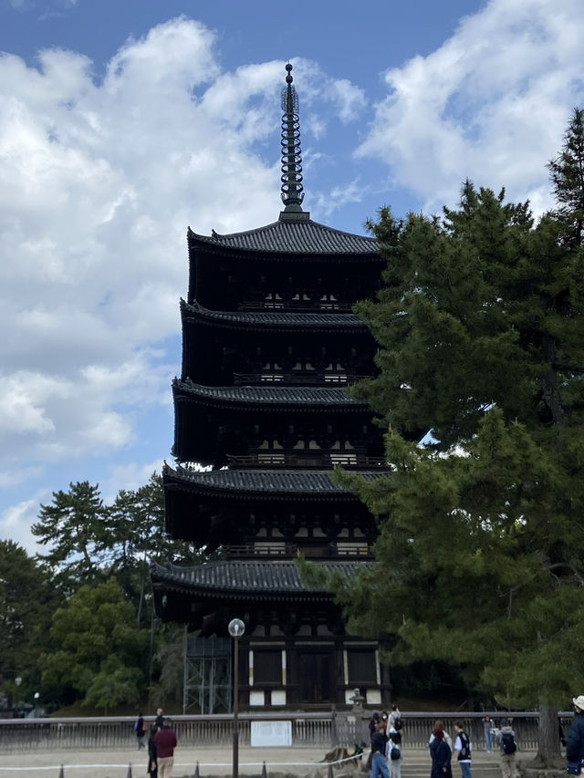 Kofukuji Temple: A Blend of History and Grace