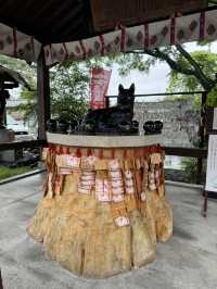 【群馬】花手水がとても綺麗!!御神水も頂ける神社