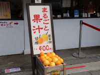 伊勢の風情と美食を堪能・おかげ横丁