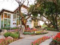 คาเฟ่สวนดอกไม้ Cakery 