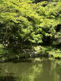 Discover the Charm of Enoshima Island, Tokyo’s Coastal Gem