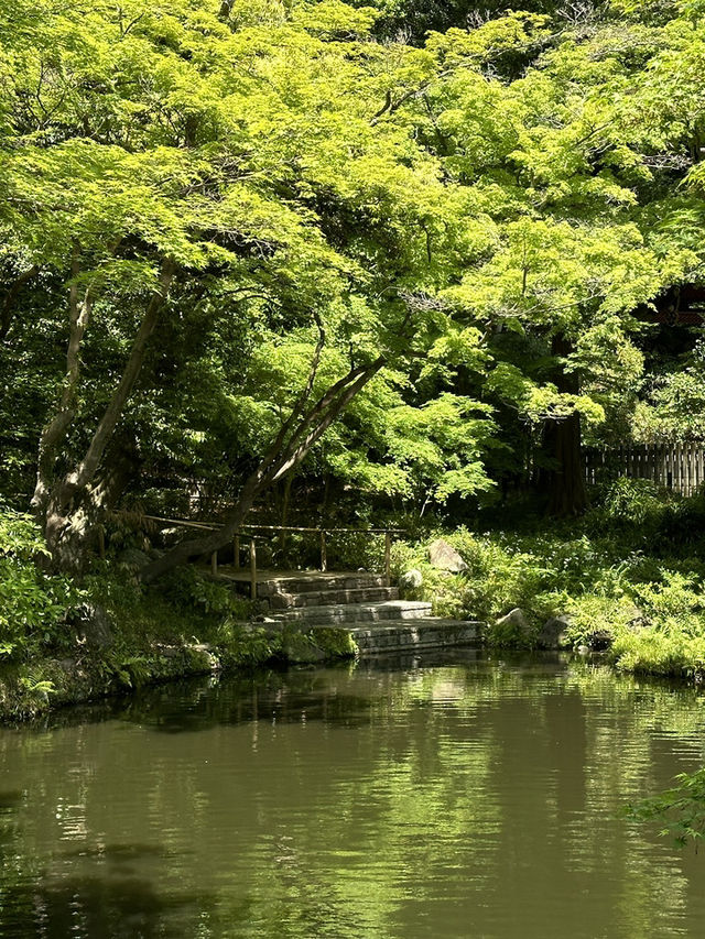 Discover the Charm of Enoshima Island, Tokyo’s Coastal Gem
