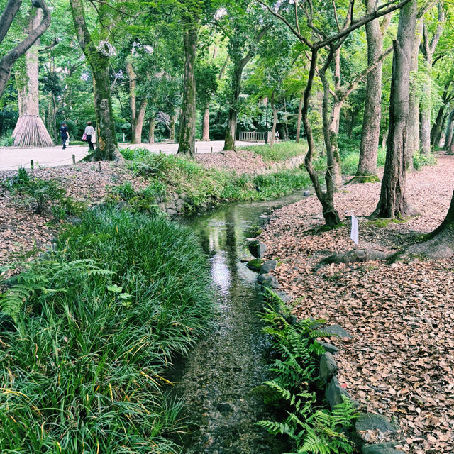  京都鴨川午間遊記：懶洋洋的舒適時光🏖️
