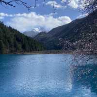Chengdu 6 days - Jiuzhaigou