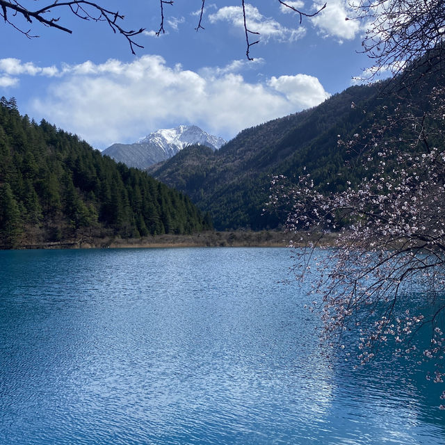 Chengdu 6 days - Jiuzhaigou