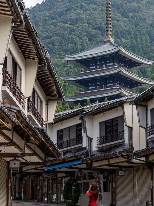【福井県/勝山市】幻想的な世界が広がる☁️