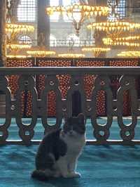 Aya Sophia Mosque: A Marvel of Time