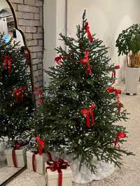 포천 어가길베이커리 크리스마스 느낌 🎄