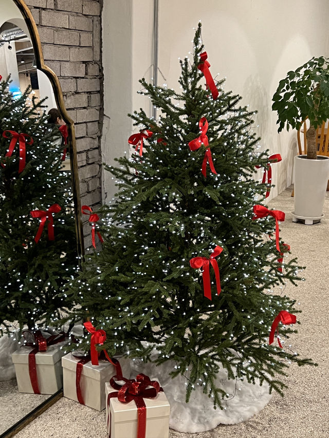 포천 어가길베이커리 크리스마스 느낌 🎄