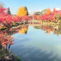 Eikando Temple