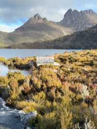 Immersed in Nature: My Scenic Adventure on the Dove Lake Circuit Walk