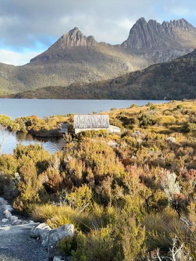 Immersed in Nature: My Scenic Adventure on the Dove Lake Circuit Walk