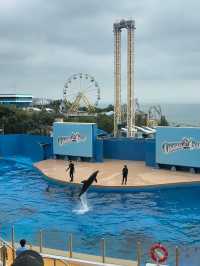 Ocean Park in Hong Kong