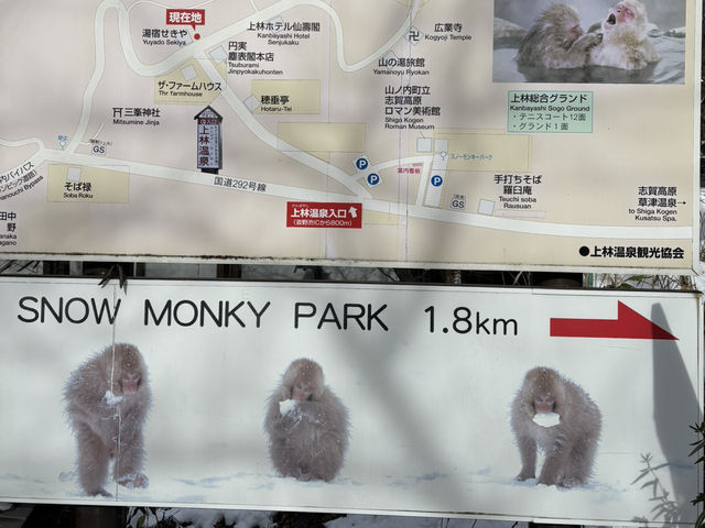 《長野県》地獄谷野猿公苑