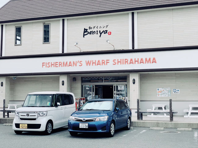 【和歌山日帰旅行】朝から晩まで満喫する弾丸トラベル