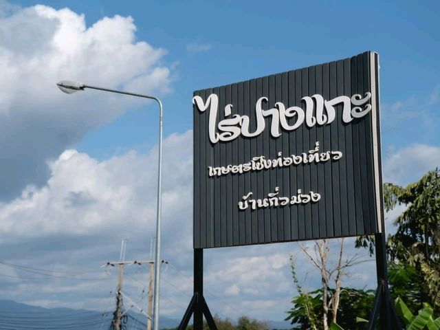 ไร่ปางแกะกิ่วม่วง จ.น่าน