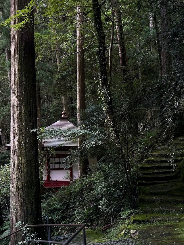  A Journey to Sacred Serenity: My Adventure to Kumano-Nachi Grand Shrine
