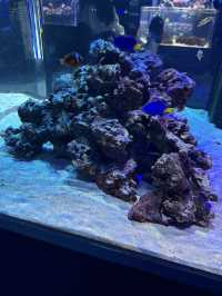 新感覚の水族館 DMMかりゆし水族館 【豊見城】