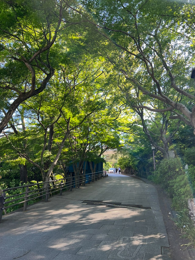 Jigen-in Temple วัดเจ้าแม่กวนอิมใน Guma