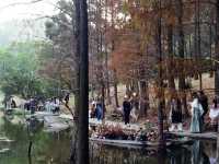 Xianhu Botanical Park — Fairytale Views at the Fairy Lake