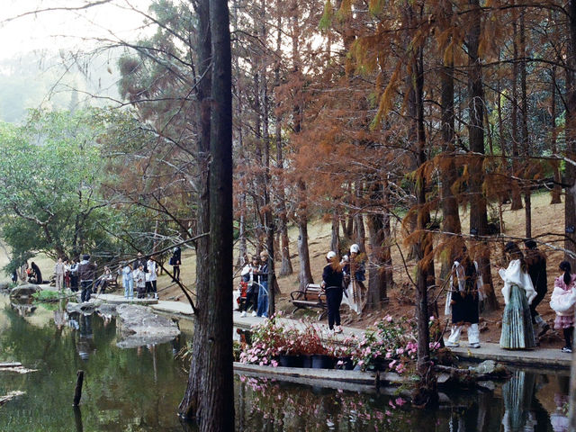 Xianhu Botanical Park — Fairytale Views at the Fairy Lake