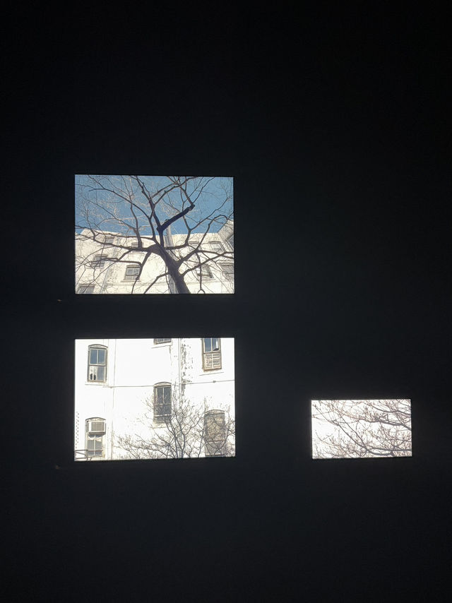 【東京】坂本龍一イベント。東京現代美術館