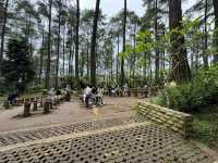 Enchanted Escape at Orchid Forest Cikole