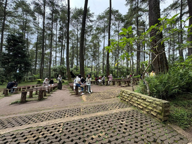 Enchanted Escape at Orchid Forest Cikole