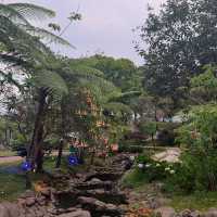 Serene Oasis at Dusun Bambu