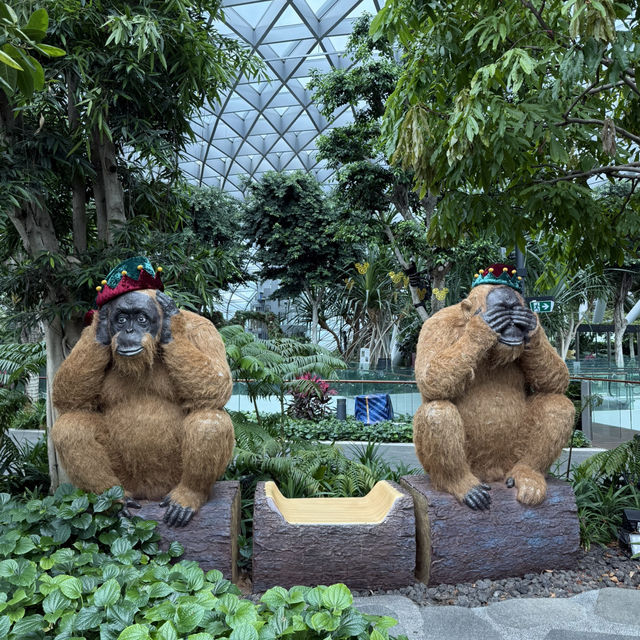 「新加坡」迪士尼聯乘星空花園，自然和花藝的探索