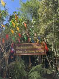 Tad Gneuang Waterfall : Paksong