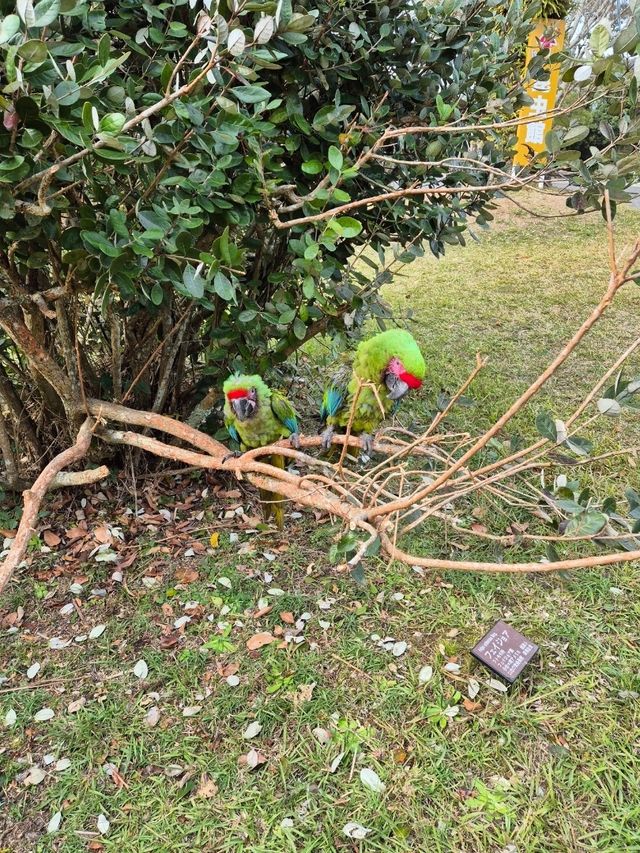Nagasaki Bio Park