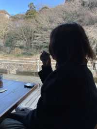 일본 하코네, 최고의 두부 요리 추천! Yubadon naokichi 