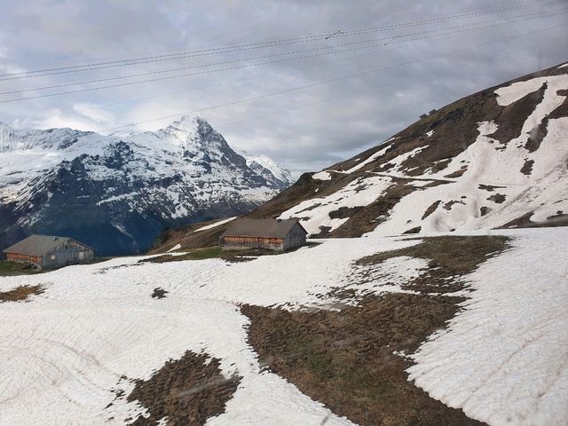 Be one of the first few up the Grindelwald First daily!