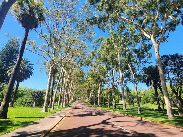 Kings Park and Botanic Garden in Perth