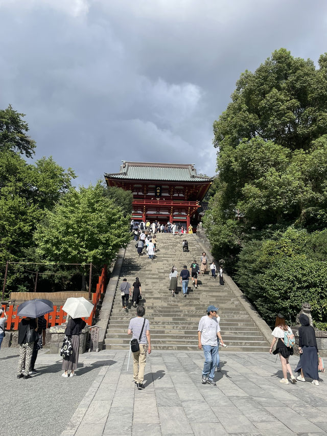 ｜日本｜鐮倉鶴岡八幡宮⛩️  