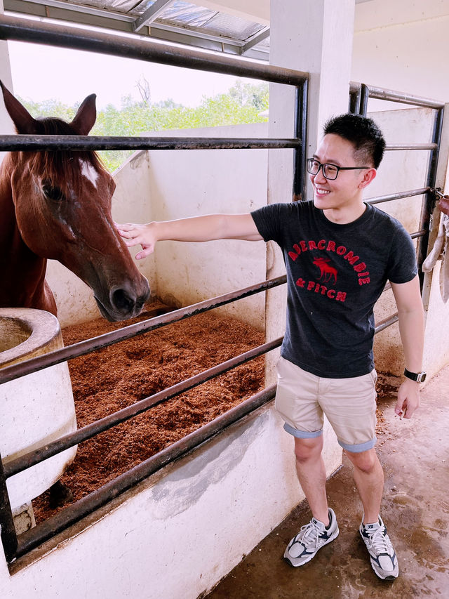 First Time Horse Riding at Tuaran, Kampong Lol Batik