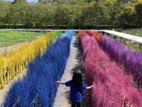 เขื่อนป่าสักชลสิทธิ์โดยรถไฟลอยน้ำ