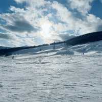 Unforgettable Powder at Furano Ski Resort 🇯🇵