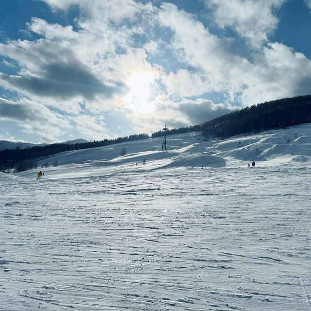 Unforgettable Powder at Furano Ski Resort 🇯🇵