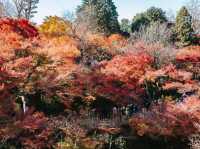 Tofukuji temple