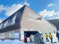 Niseko Annupuri International Ski Area