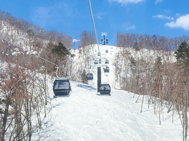 長野縣｜白馬岩岳滑雪場❄️雪山上的鞦韆！不滑雪也好好玩