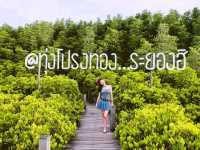 ทุ่งโปรงทองระยอง