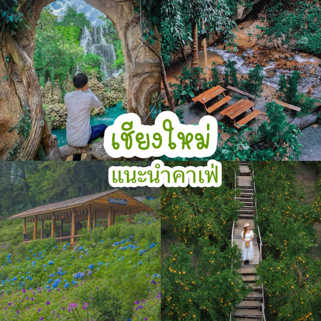 แนะนำคาเฟ่เชียงใหม่