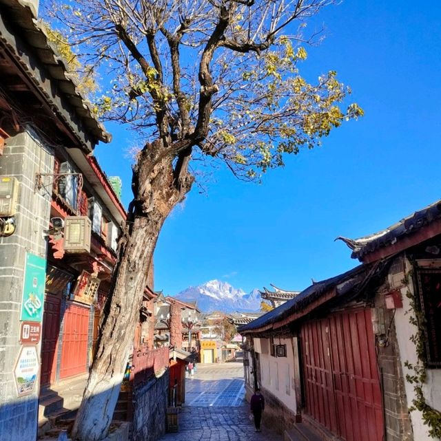 Lijiang Winter Wonderland: Snow-Capped Peaks, Ancient Streets, and Modern Comforts