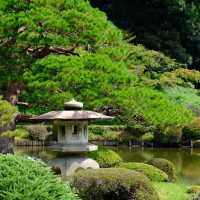 日本皇室的花園🌸🏯皇居東御苑
