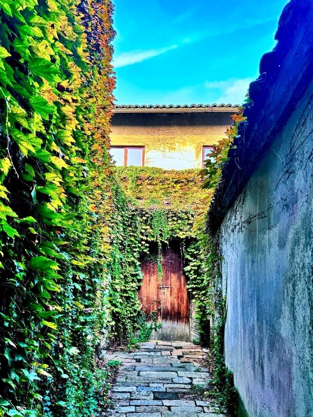 Xizha Main Street: A Stroll Through History
