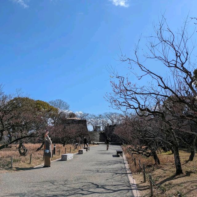 Fukuoka Castle Ruins (Maizuru Park)